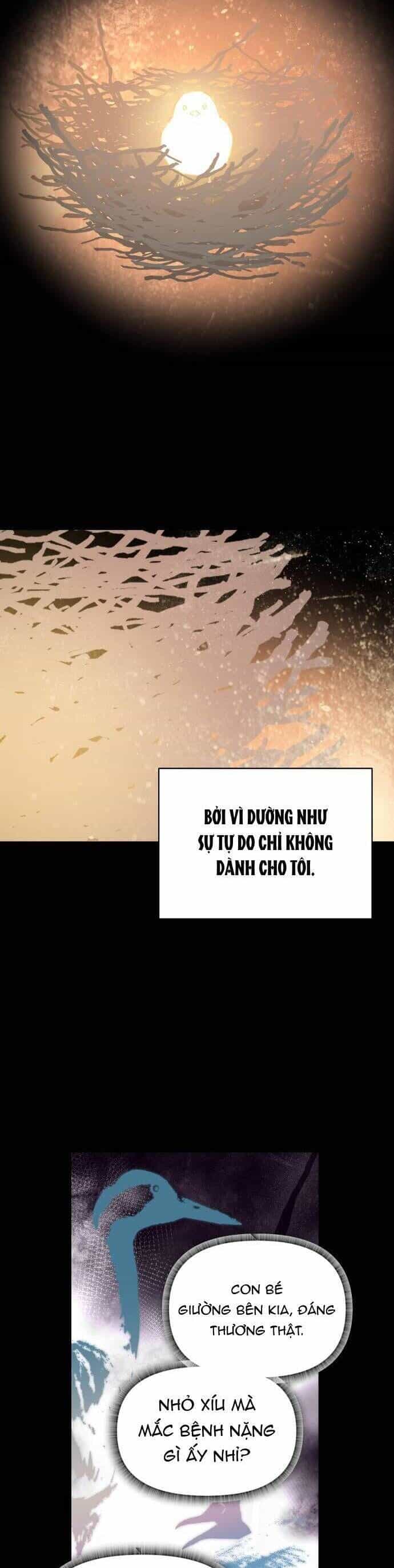 Bầu Trời Mùa Hạ Dấu Yêu - Chương 33 - ảnh 4