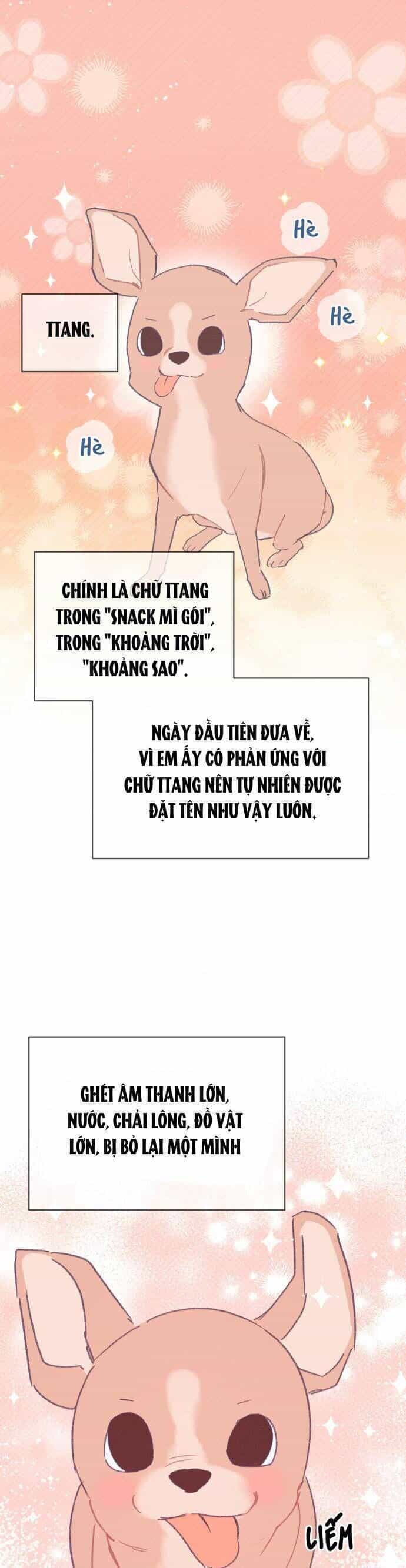 Bầu Trời Mùa Hạ Dấu Yêu - Chương 34 - ảnh 3
