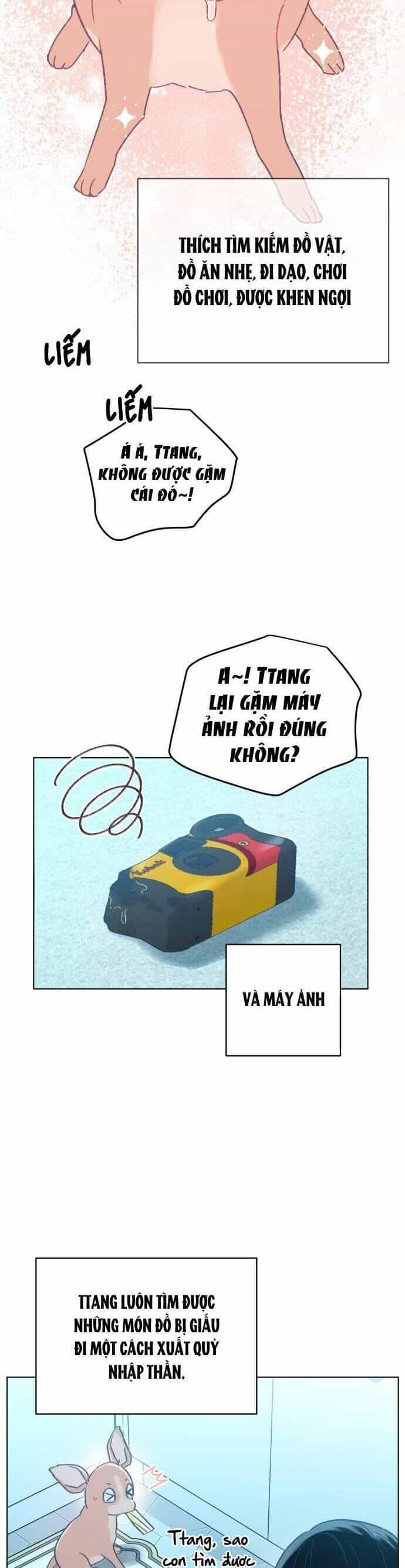 Bầu Trời Mùa Hạ Dấu Yêu - Chương 34 - ảnh 4