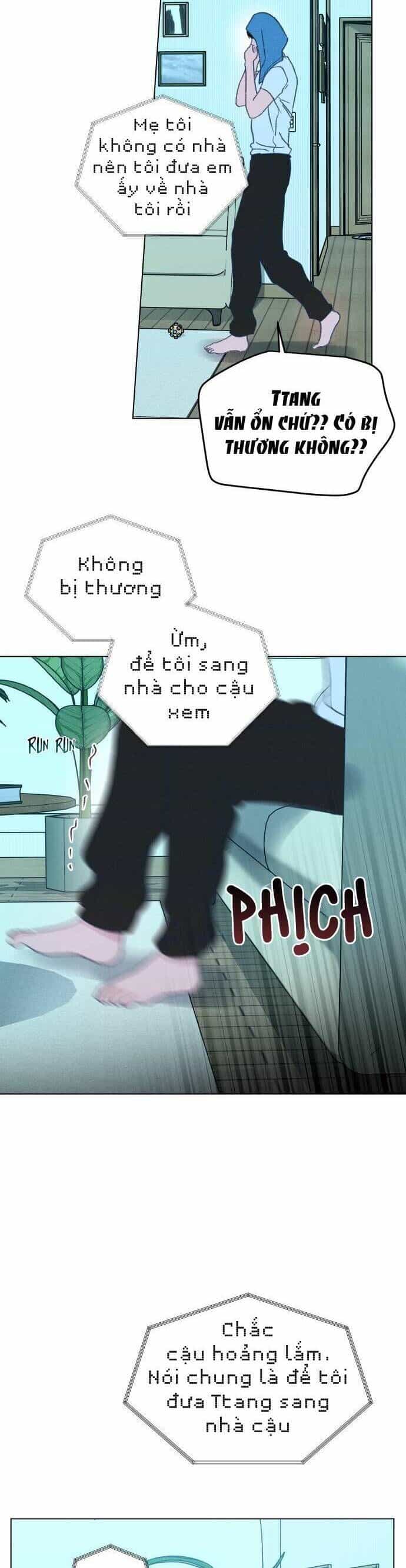 Bầu Trời Mùa Hạ Dấu Yêu - Chương 34 - ảnh 41