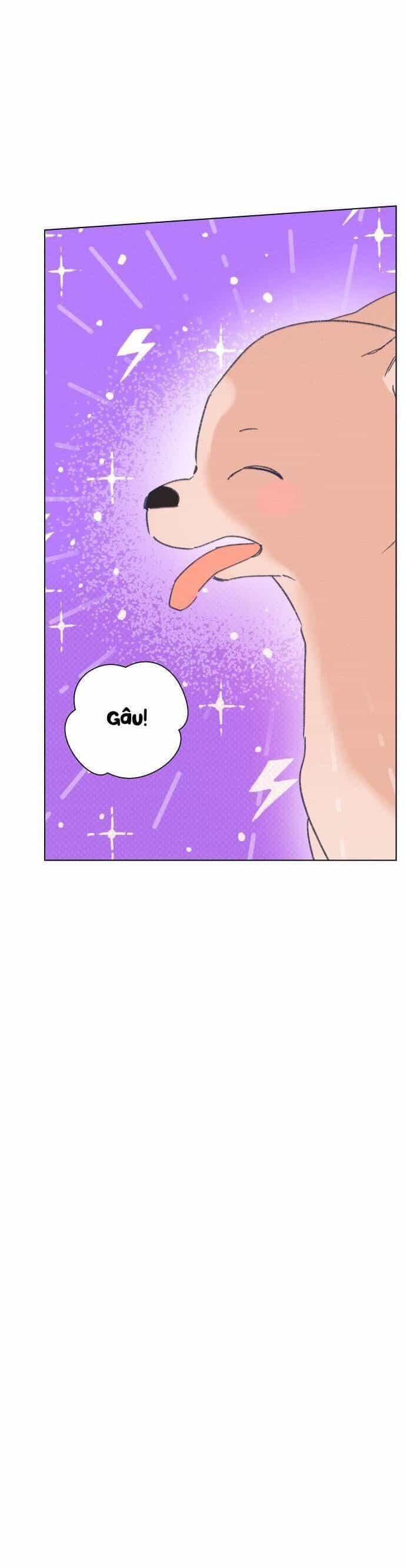 Bầu Trời Mùa Hạ Dấu Yêu - Chương 34 - ảnh 6