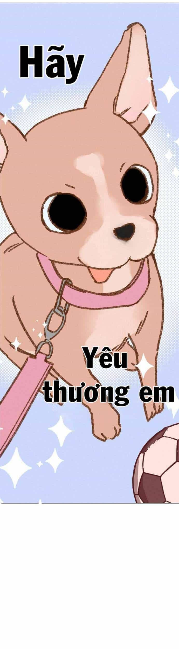 Bầu Trời Mùa Hạ Dấu Yêu - Chương 4 - ảnh 52