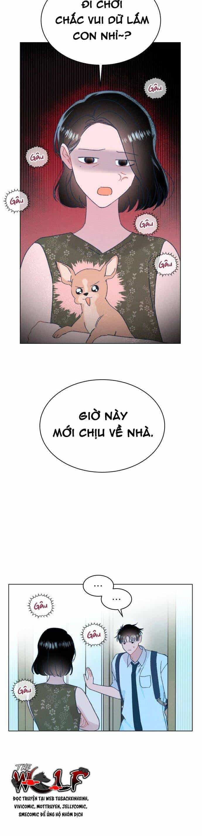 Bầu Trời Mùa Hạ Dấu Yêu - Chương 47 - ảnh 16