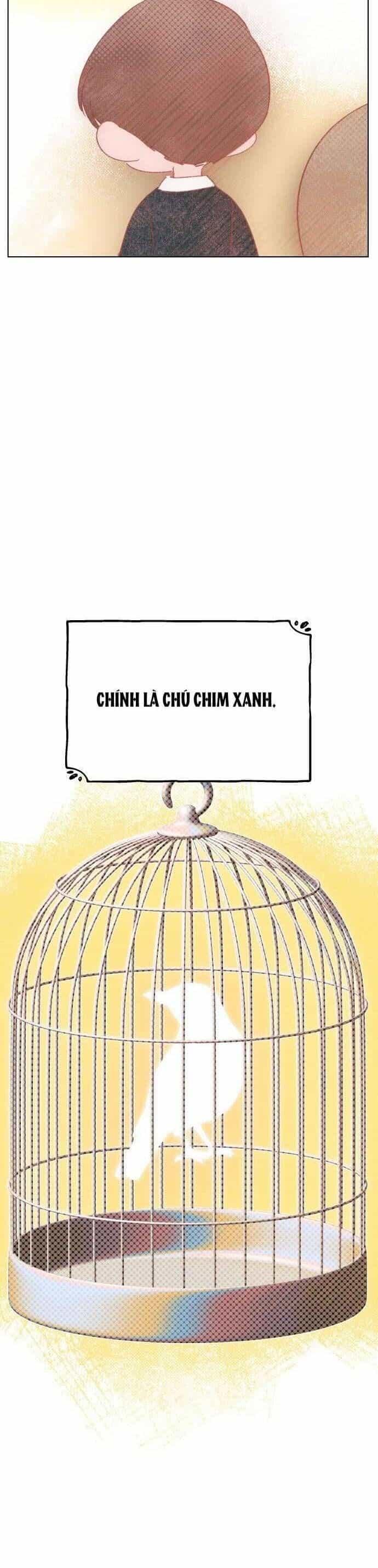 Bầu Trời Mùa Hạ Dấu Yêu - Chương 59 - ảnh 5