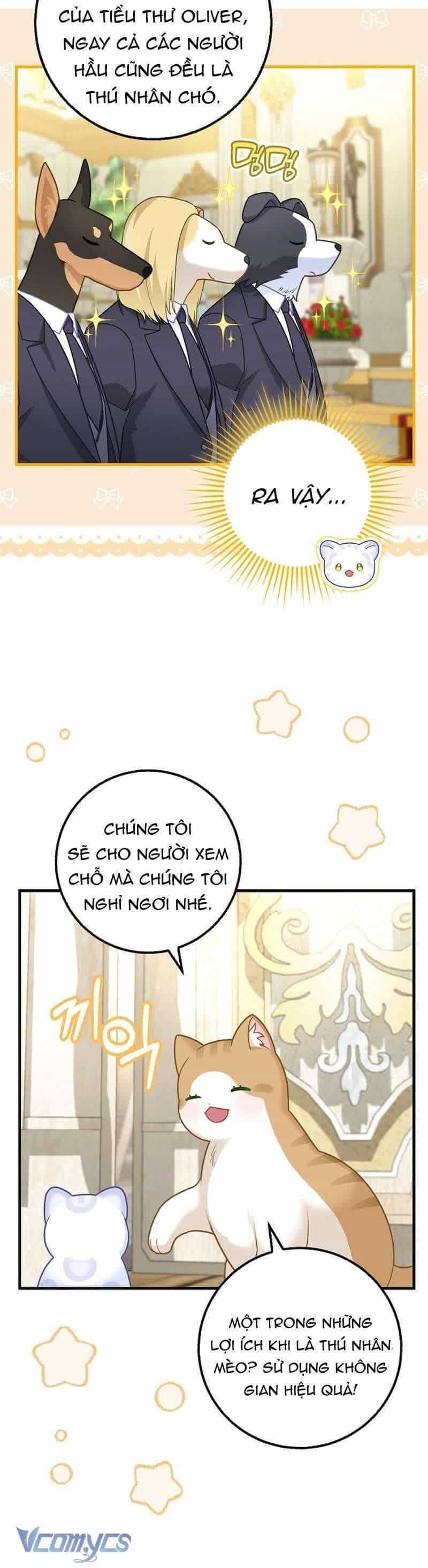 Bé Con Báo Tuyết Của Gia Tộc Báo Đen - Chương 26 - ảnh 5