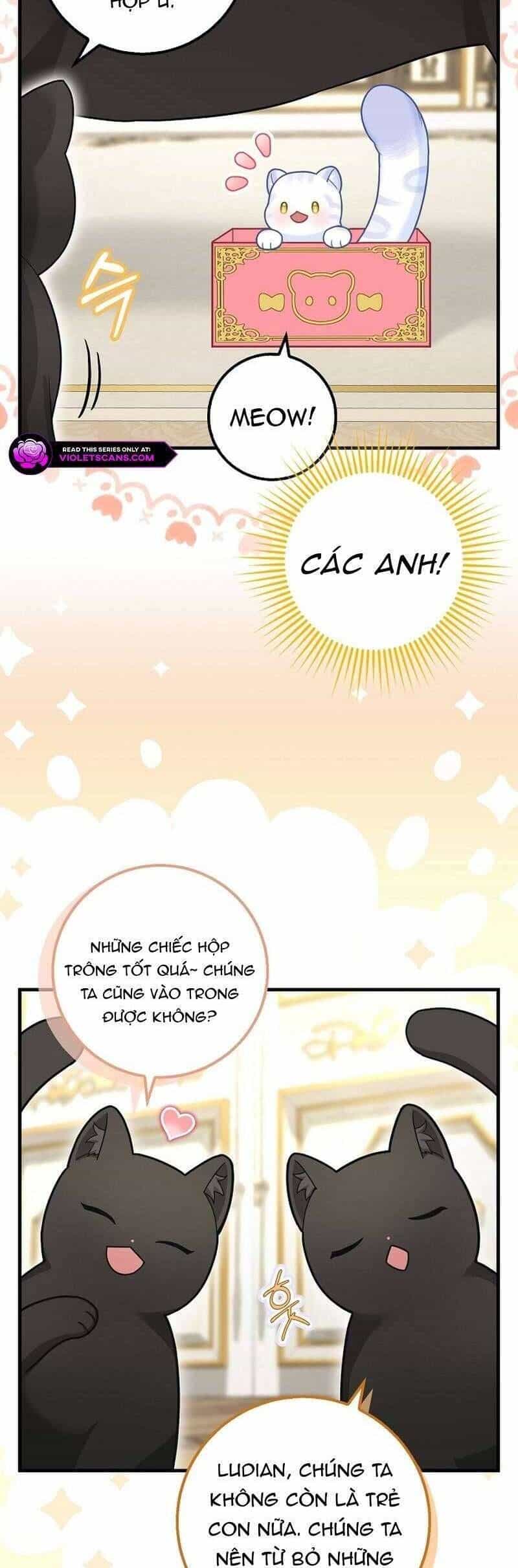 Bé Con Báo Tuyết Của Gia Tộc Báo Đen - Chương 26 - ảnh 7