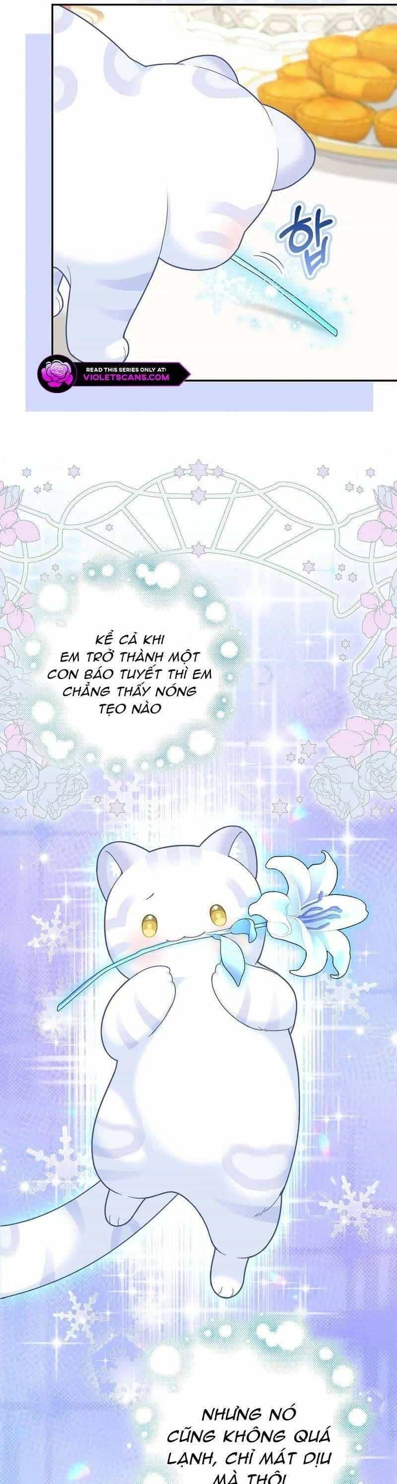 Bé Con Báo Tuyết Của Gia Tộc Báo Đen - Chương 27 - ảnh 25