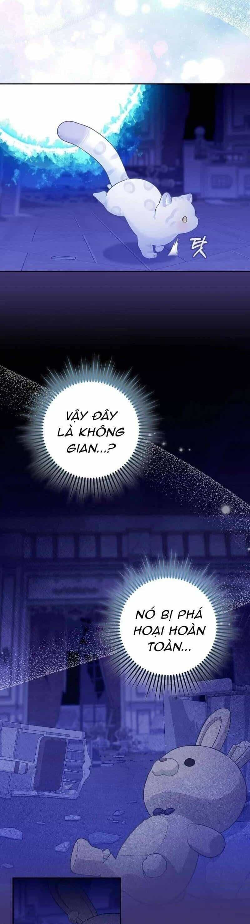 Bé Con Báo Tuyết Của Gia Tộc Báo Đen - Chương 3 - ảnh 35