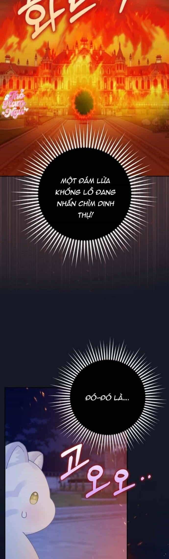 Bé Con Báo Tuyết Của Gia Tộc Báo Đen - Chương 41 - ảnh 11