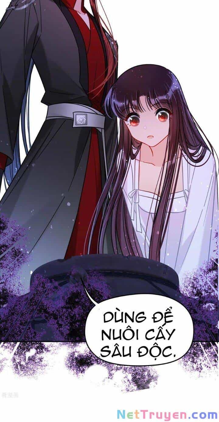 Bệ Hạ Nhà Ta Muốn Hại Quốc - Chương 44 - ảnh 4