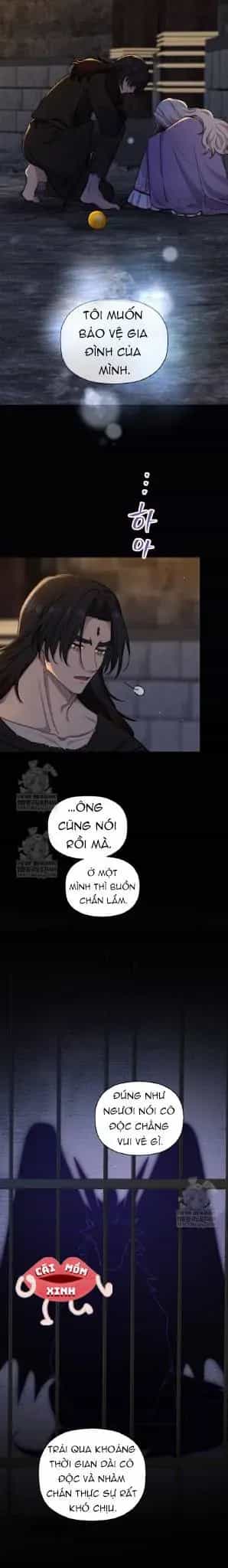 Bệ Hạ, Xin Hãy Quên Tôi Đi - Chương 51 - ảnh 9