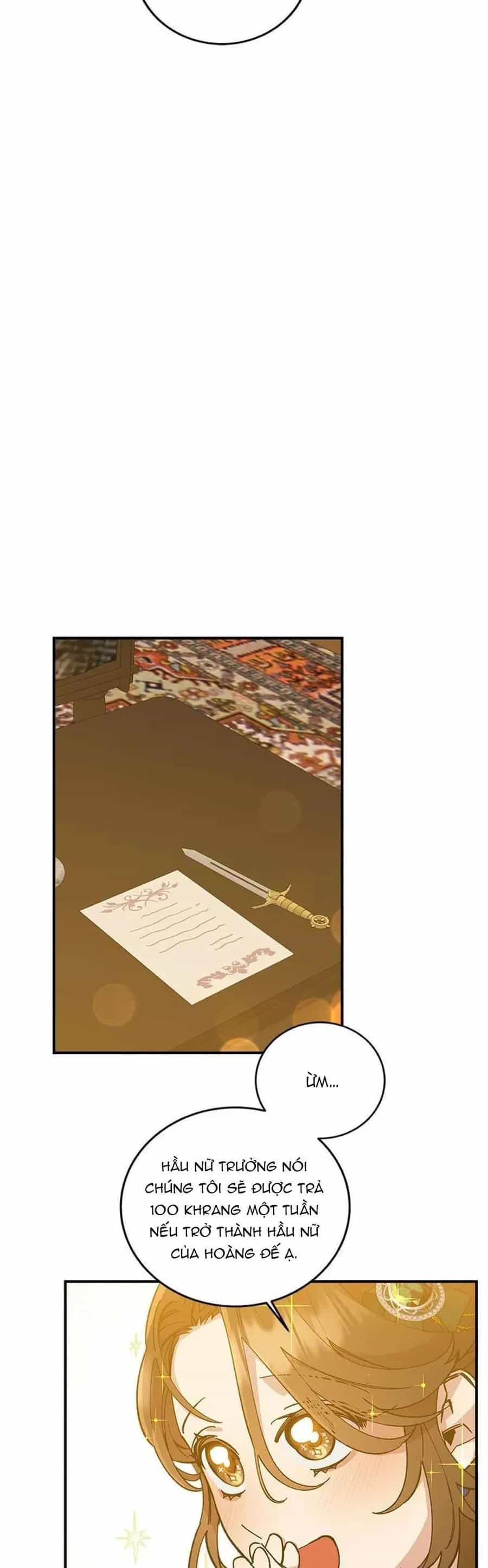 Bệ Hạ, Xin Người Hãy Dừng Lại Đi! - Chương 6 - ảnh 31