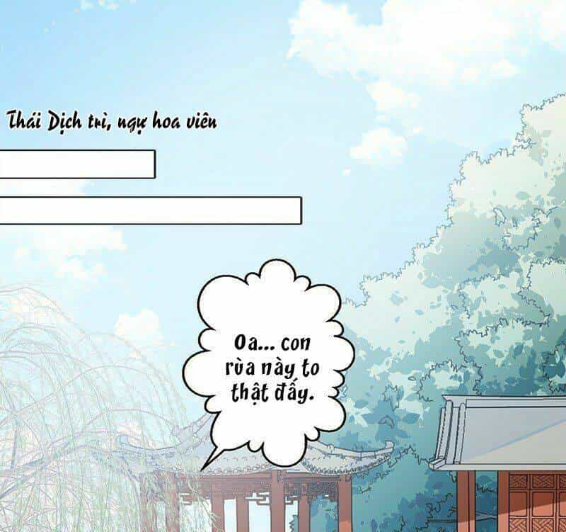 Bệ Hạ Xin Tự Trọng - Chương 16 - ảnh 3