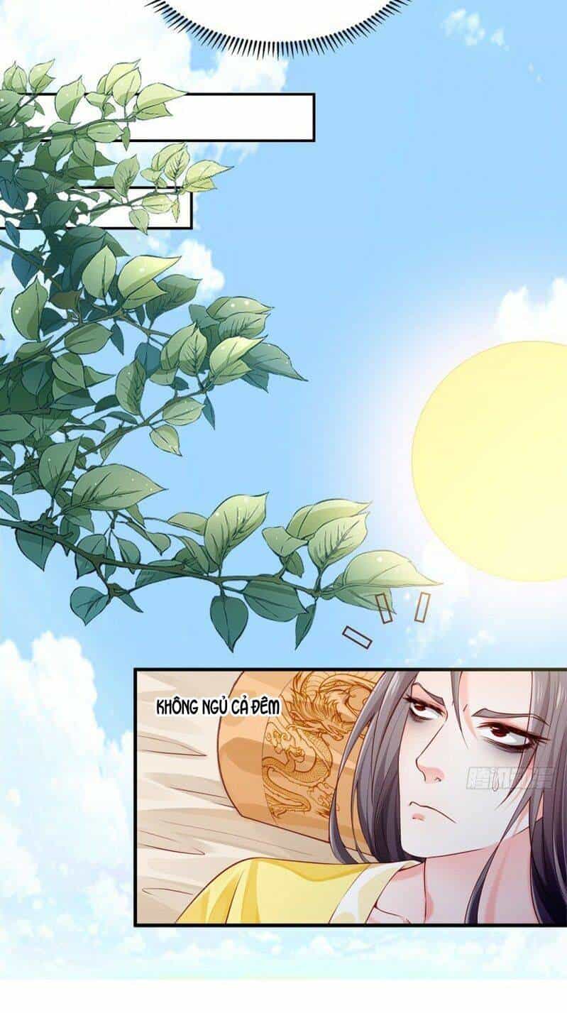 Bệ Hạ Xin Tự Trọng - Chương 33 - ảnh 17