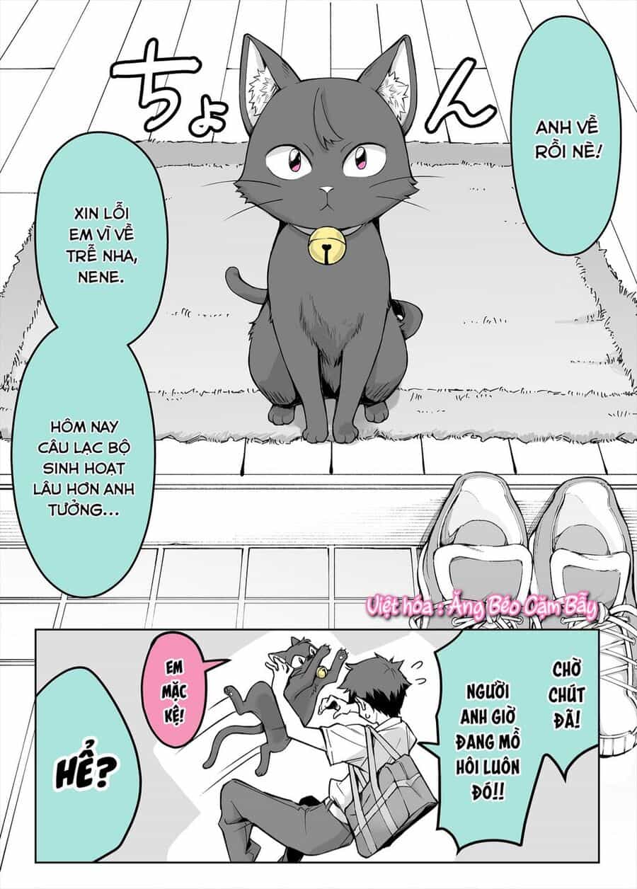 Bé Mèo Yandere Của Tôi Yêu Tôi Rất Nhiều - Chuong 1 - ảnh 1