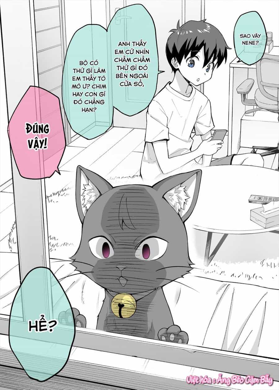 Bé Mèo Yandere Của Tôi Yêu Tôi Rất Nhiều - Chuong 2 - ảnh 1