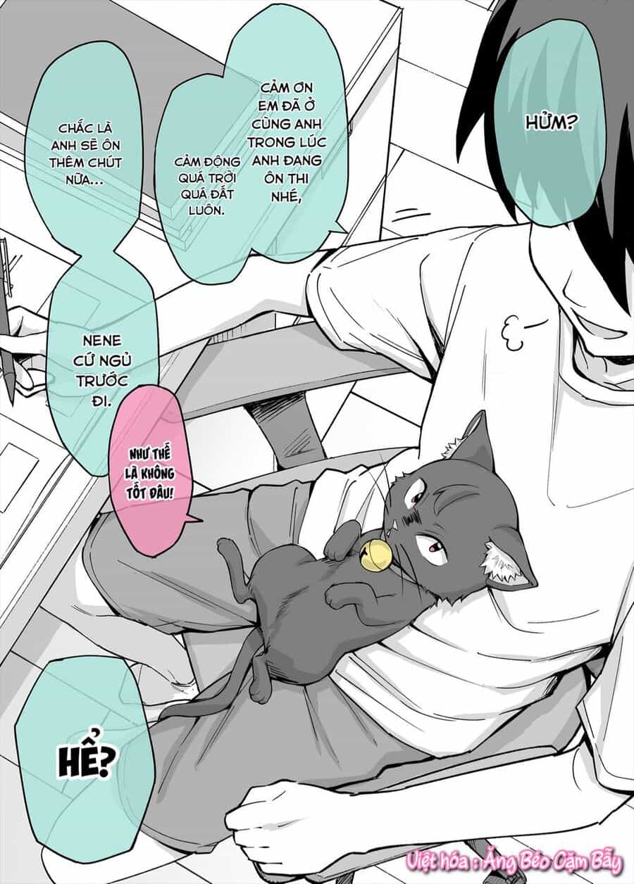 Bé Mèo Yandere Của Tôi Yêu Tôi Rất Nhiều - Chuong 3 - ảnh 1