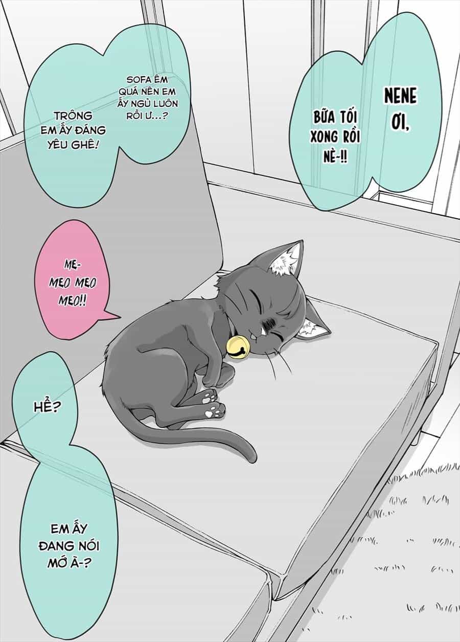 Bé Mèo Yandere Của Tôi Yêu Tôi Rất Nhiều - Chuong 5 - ảnh 1