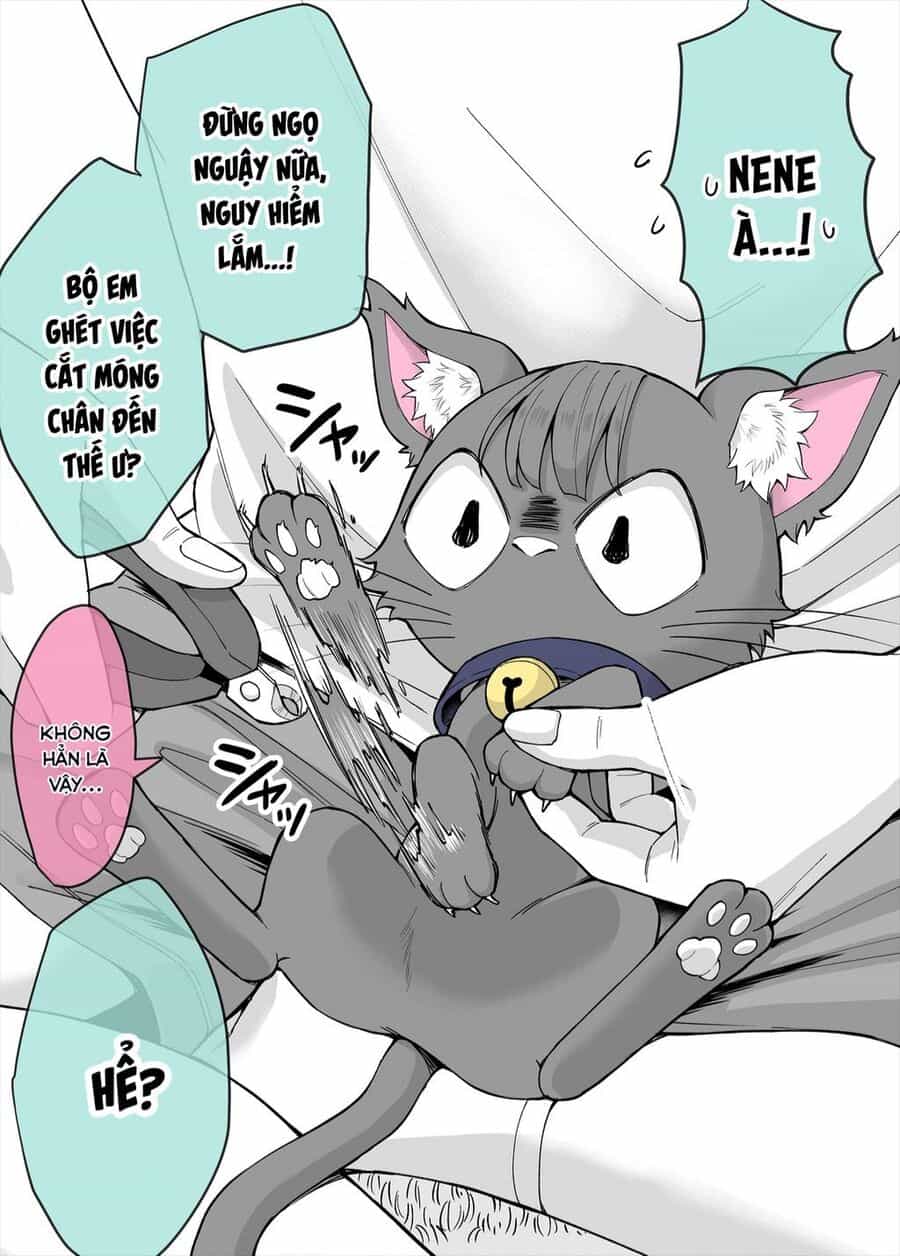 Bé Mèo Yandere Của Tôi Yêu Tôi Rất Nhiều - Chuong 7 - ảnh 1