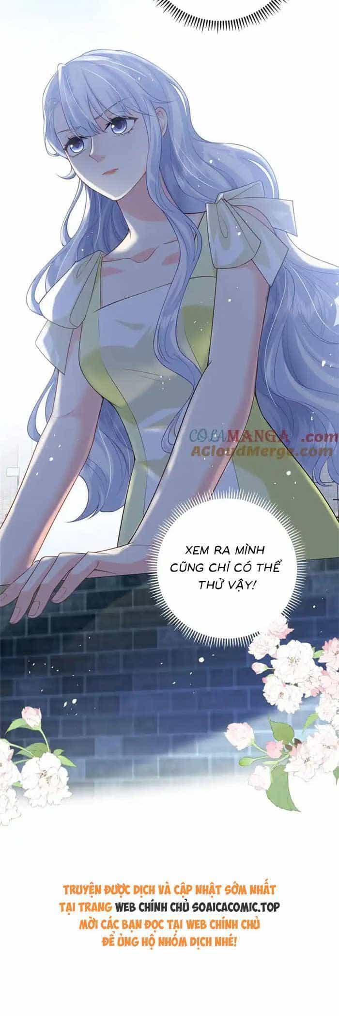 Bé Rồng Đột Kích! Mami Vừa Cay Vừa Độc - Chương 107 - ảnh 23