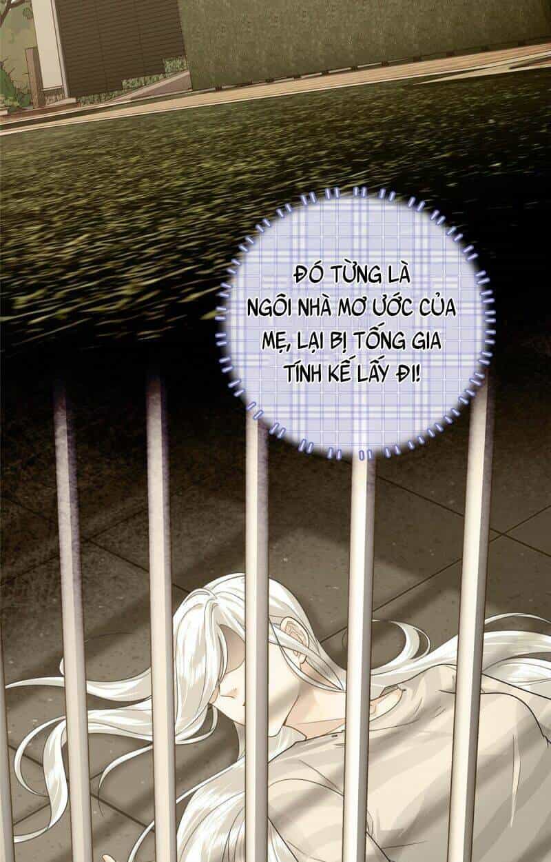 Bé Rồng Đột Kích! Mami Vừa Cay Vừa Độc - Chương 11 - ảnh 6