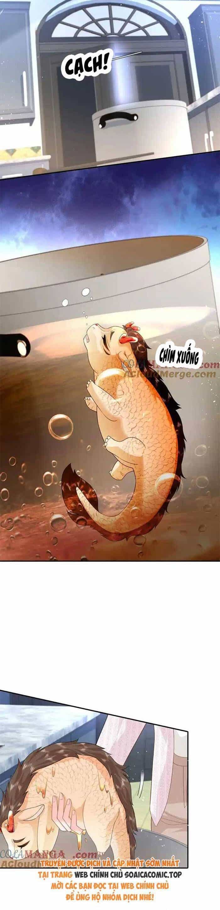 Bé Rồng Đột Kích! Mami Vừa Cay Vừa Độc - Chương 113 - ảnh 2