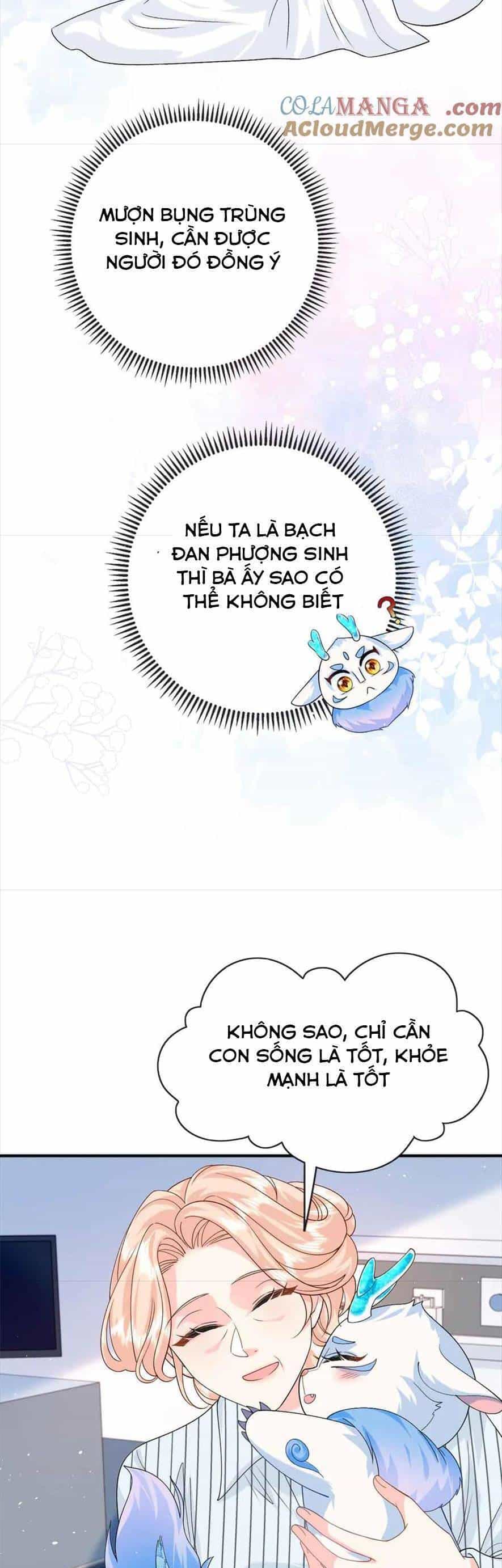 Bé Rồng Đột Kích! Mami Vừa Cay Vừa Độc - Chương 122 - ảnh 11
