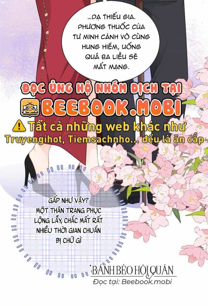 Bé Rồng Đột Kích! Mami Vừa Cay Vừa Độc - Chương 17 - ảnh 12