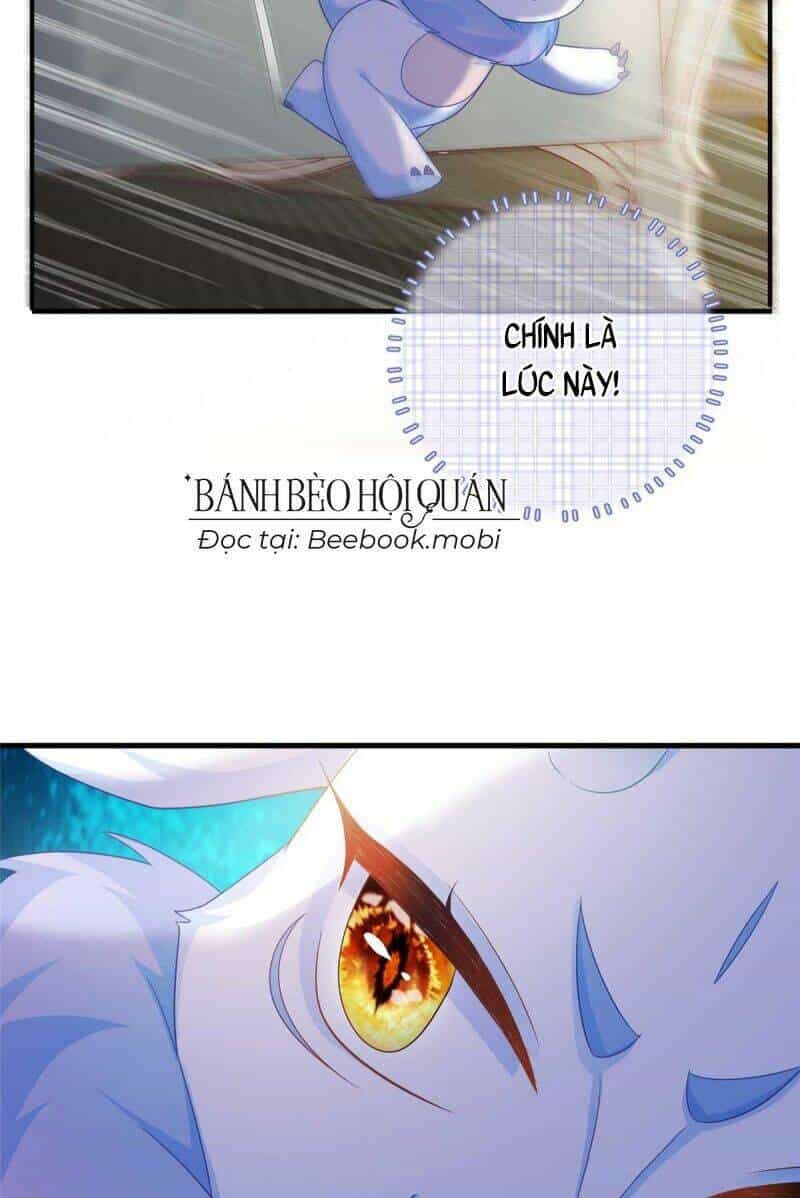 Bé Rồng Đột Kích! Mami Vừa Cay Vừa Độc - Chương 18 - ảnh 21