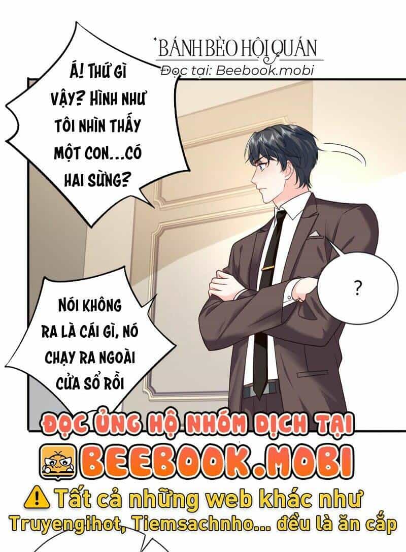 Bé Rồng Đột Kích! Mami Vừa Cay Vừa Độc - Chương 19 - ảnh 43
