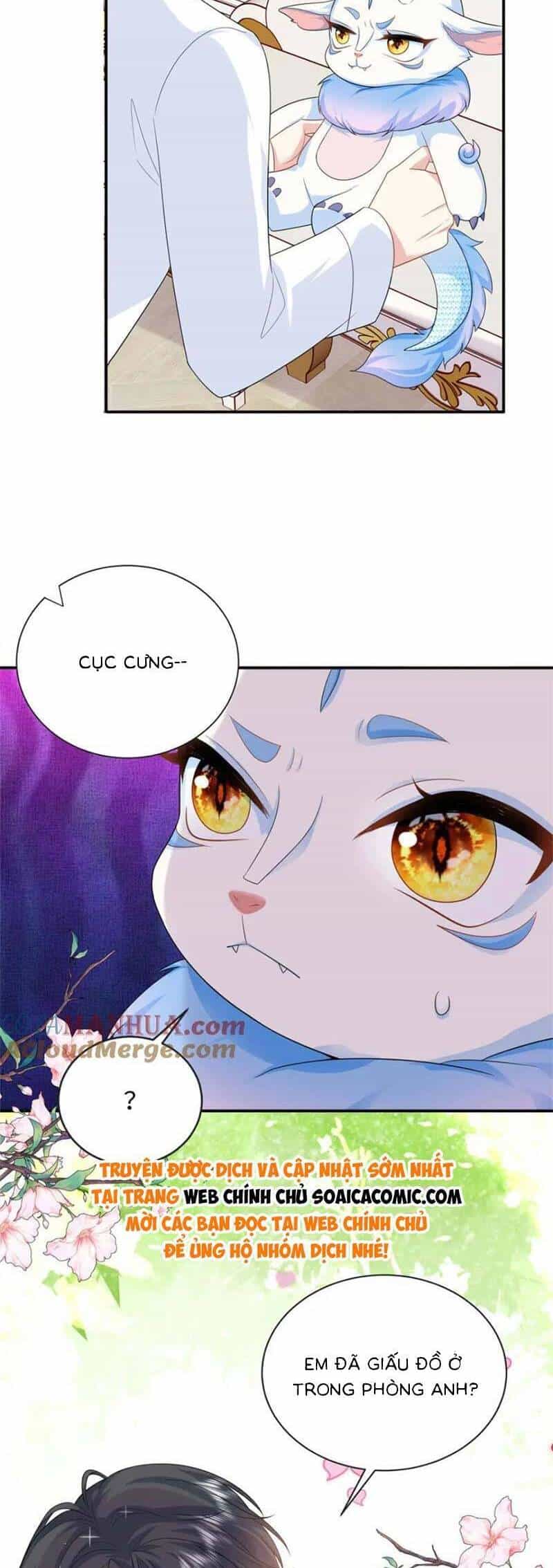 Bé Rồng Đột Kích! Mami Vừa Cay Vừa Độc - Chương 46 - ảnh 16