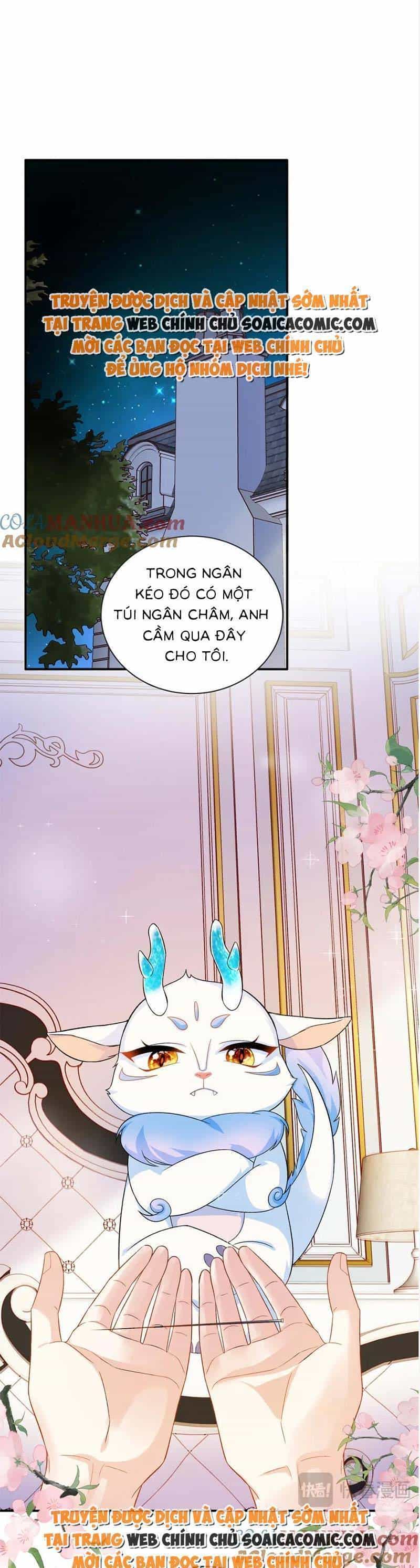 Bé Rồng Đột Kích! Mami Vừa Cay Vừa Độc - Chương 47 - ảnh 18