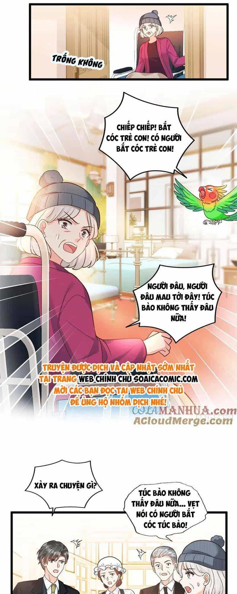 Bé Thóc Đáng Thương Được Tám Người Cậu Tranh Sủng - Chương 15 - ảnh 24