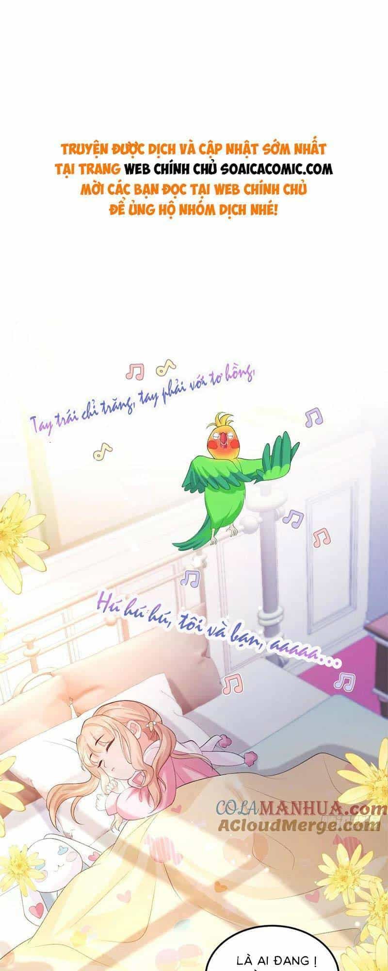 Bé Thóc Đáng Thương Được Tám Người Cậu Tranh Sủng - Chương 22 - ảnh 1