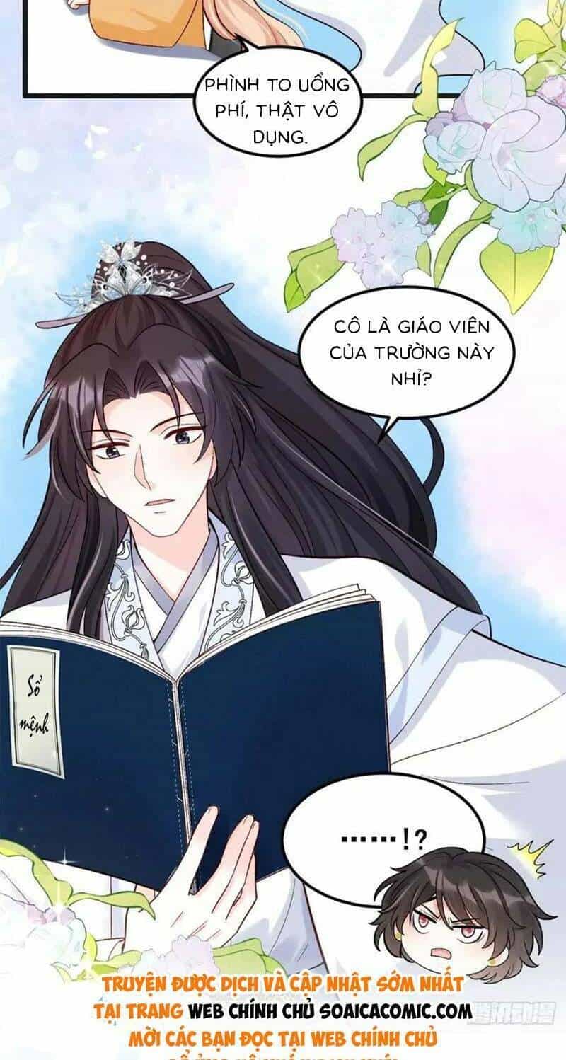 Bé Thóc Đáng Thương Được Tám Người Cậu Tranh Sủng - Chương 31 - ảnh 4