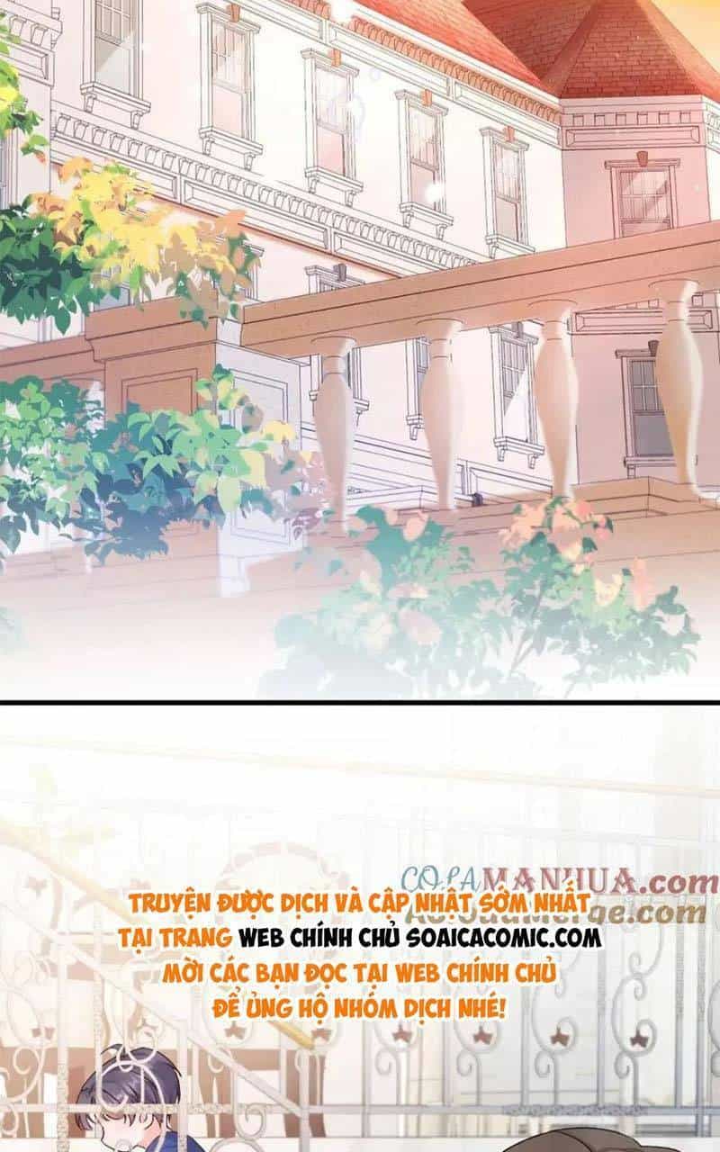 Bé Thóc Đáng Thương Được Tám Người Cậu Tranh Sủng - Chương 33 - ảnh 17