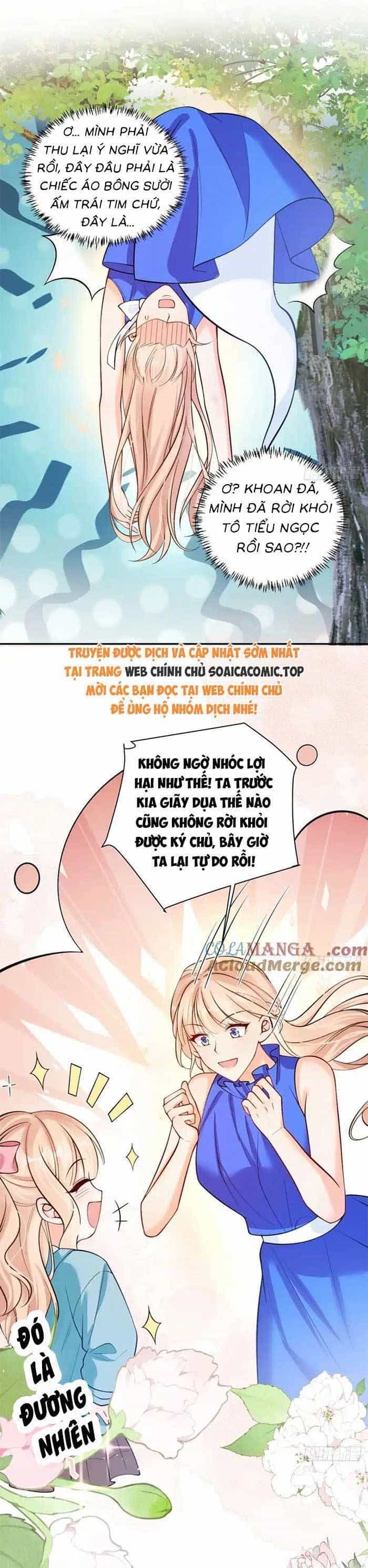 Bé Thóc Đáng Thương Được Tám Người Cậu Tranh Sủng - Chương 81 - ảnh 19