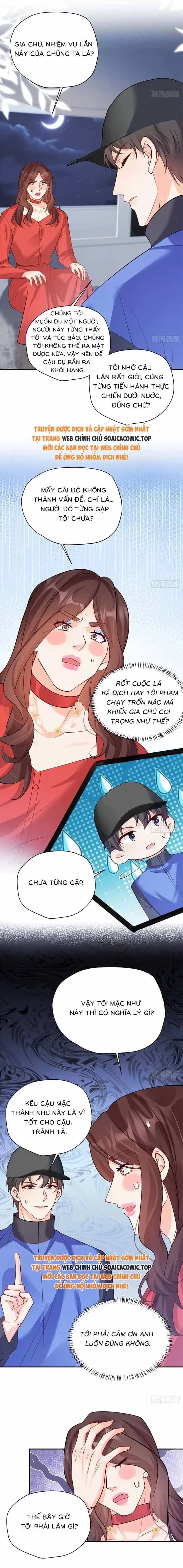 Bé Thóc Đáng Thương Được Tám Người Cậu Tranh Sủng - Chương 91 - ảnh 7