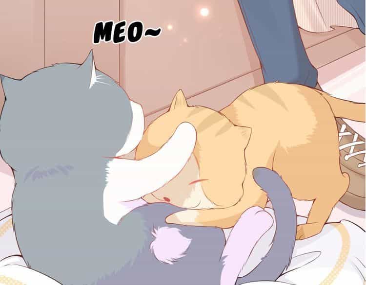 Bên Anh Mới Là Cả Thế Giới - Chương 0 - ảnh 30