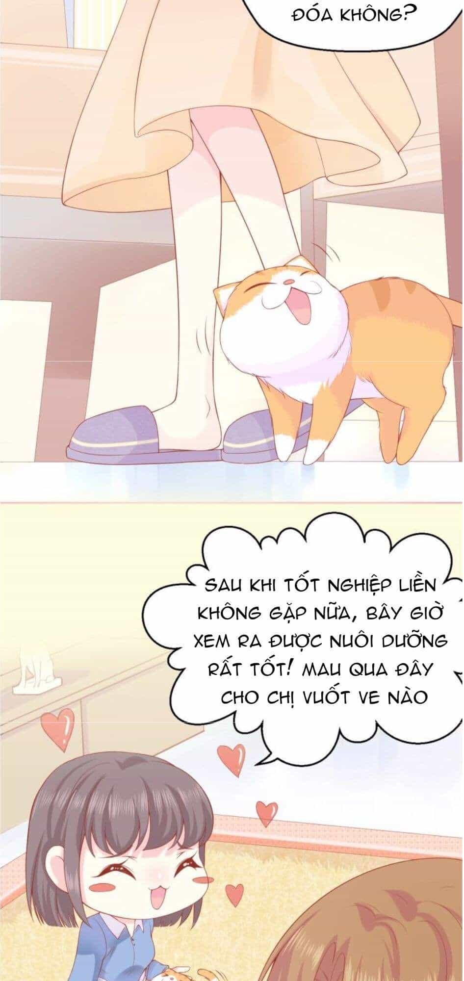 Bên Anh Mới Là Cả Thế Giới - Chương 3 - ảnh 12