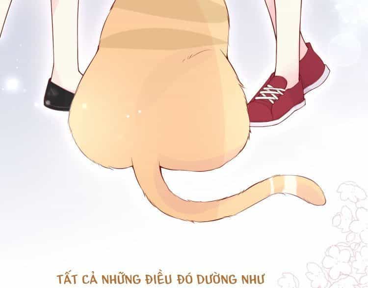 Bên Anh Mới Là Cả Thế Giới - Chương 5 - ảnh 18