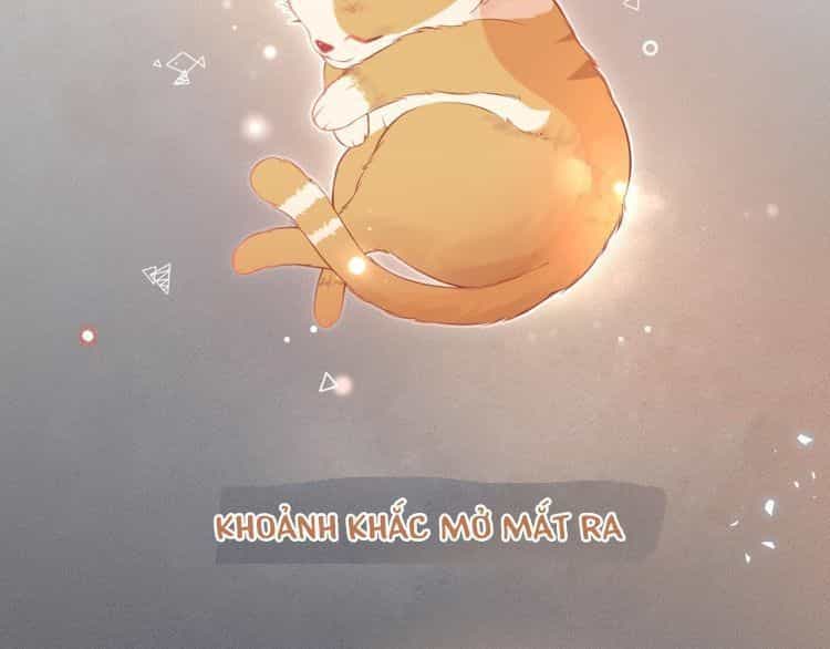 Bên Anh Mới Là Cả Thế Giới - Chương 5 - ảnh 2