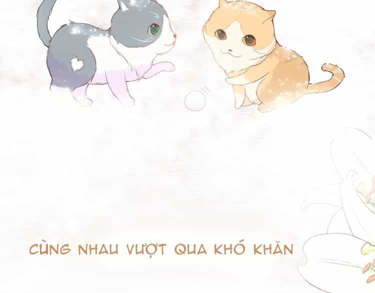 Bên Anh Mới Là Cả Thế Giới - Chương 5 - ảnh 37