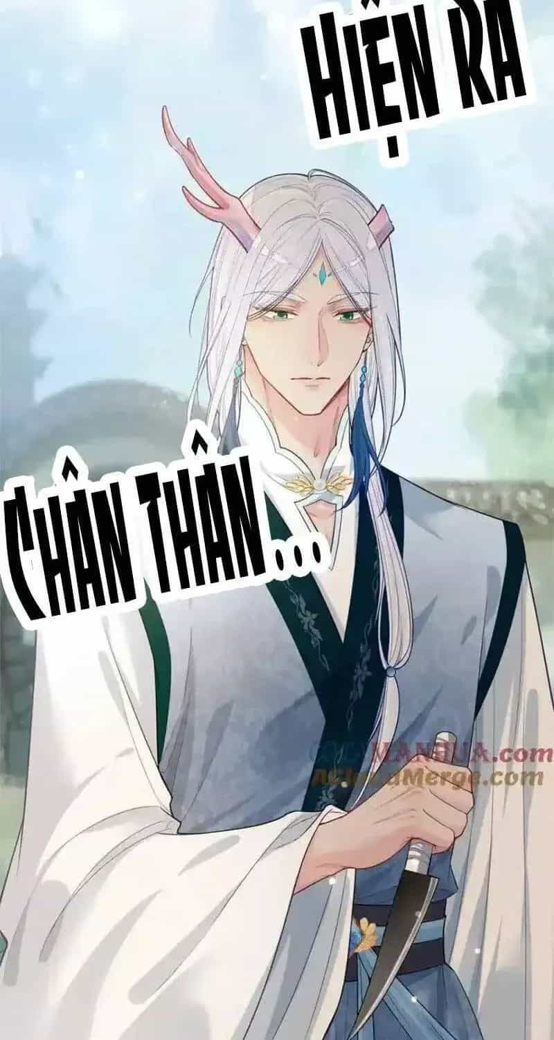 Bệnh Kiều Nam Chủ Lại Ghen Rồi - Chương 143.1 - ảnh 4
