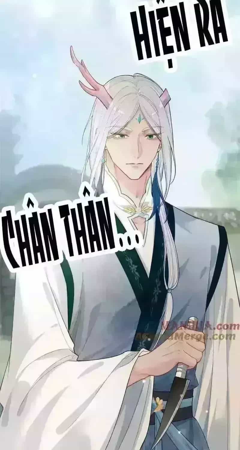 Bệnh Kiều Nam Chủ Lại Ghen Rồi - Chương 143.6 - ảnh 11