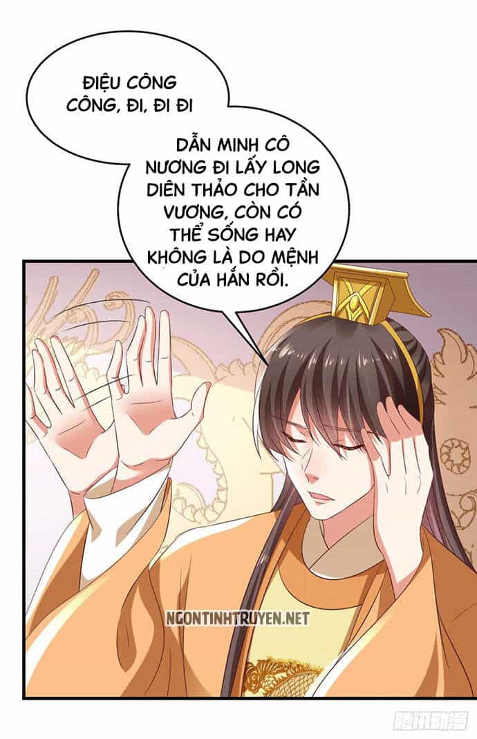 Bệnh Kiều Phu Quân Ngạnh Thượng Cung - Chương 21 - ảnh 28