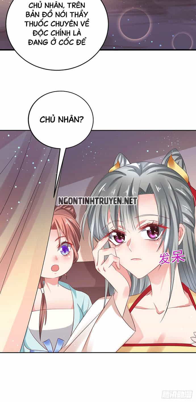 Bệnh Kiều Phu Quân Ngạnh Thượng Cung - Chương 23 - ảnh 16