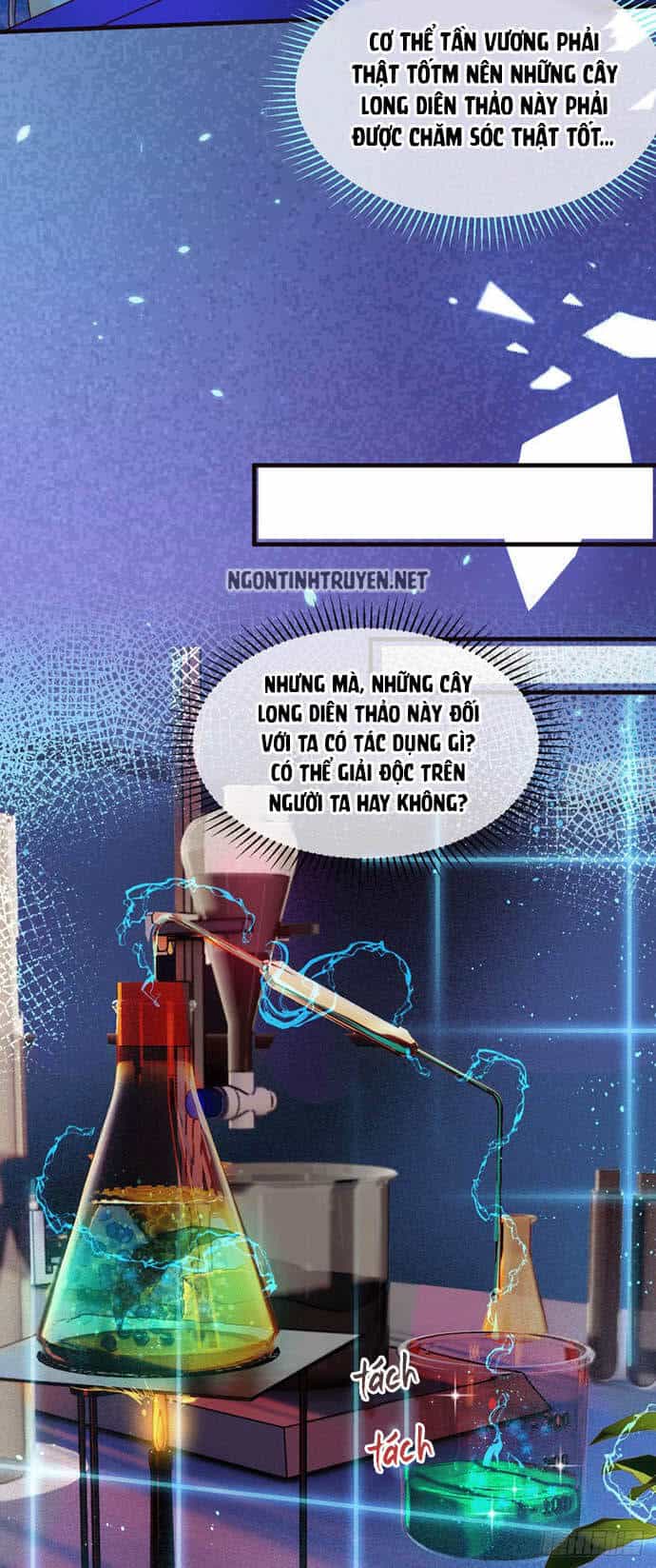 Bệnh Kiều Phu Quân Ngạnh Thượng Cung - Chương 38 - ảnh 21
