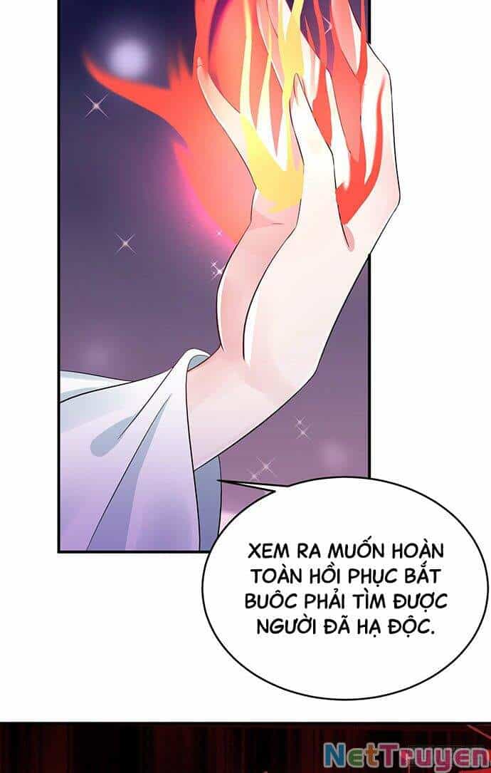 Bệnh Kiều Phu Quân Ngạnh Thượng Cung - Chương 8 - ảnh 4