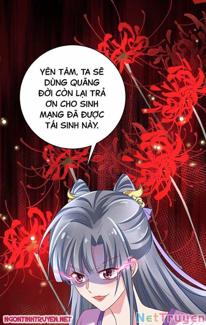 Bệnh Kiều Phu Quân Ngạnh Thượng Cung - Chương 8 - ảnh 5